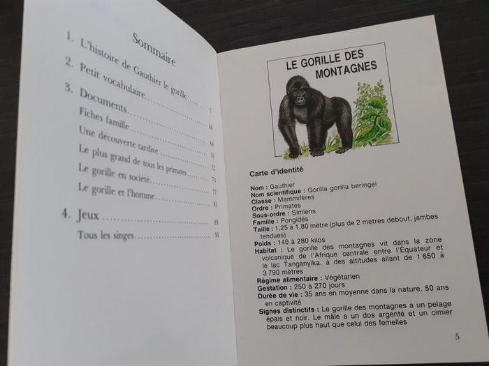 Gauthier le gorille - photo numéro 2