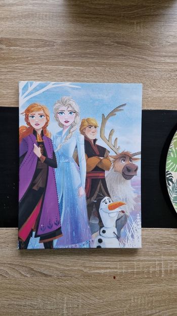 Toile reine des neiges 2