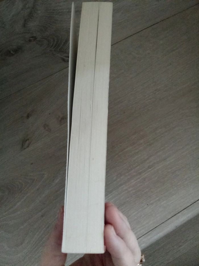 La sorcellerie de A à Z René Louis - photo numéro 4