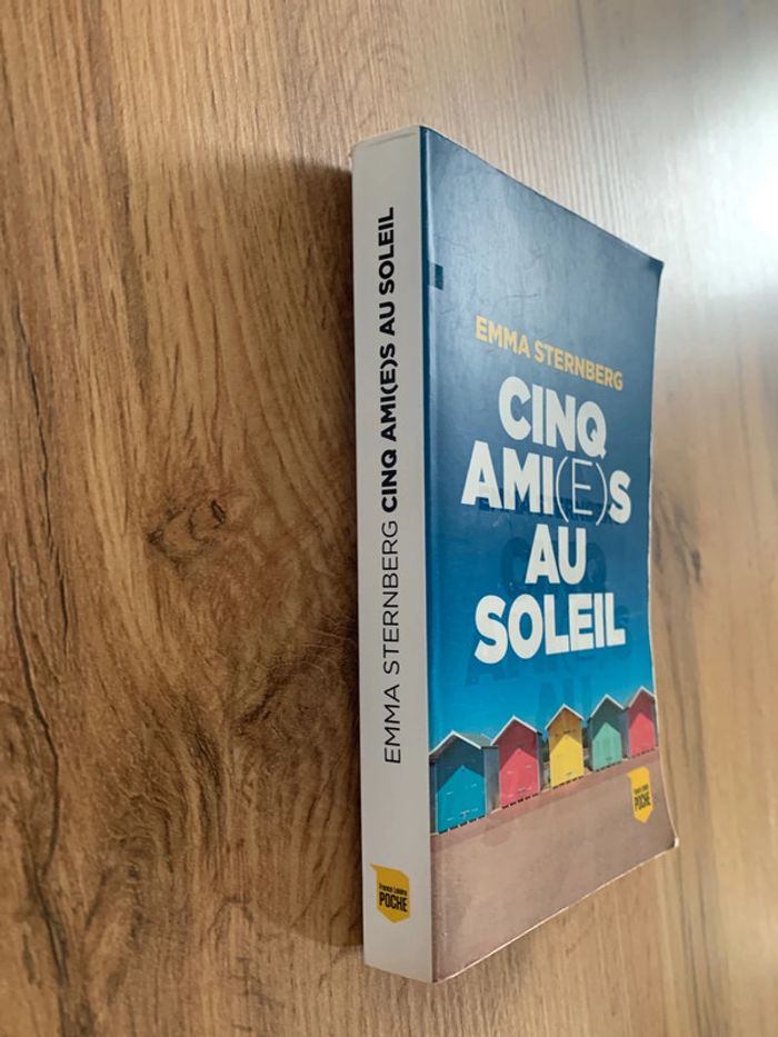 Livre Cinq ami(e)s au soleil - photo numéro 2