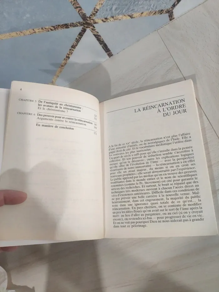 Livre la réincarnation des preuves aux certitudes Siemons spiritualité - photo numéro 8