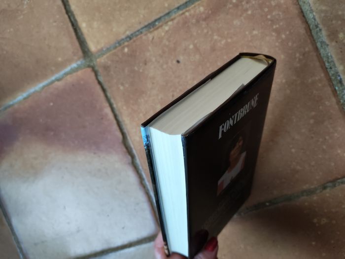 Fontbrune, roman de Brigitte Le Varlet - photo numéro 4