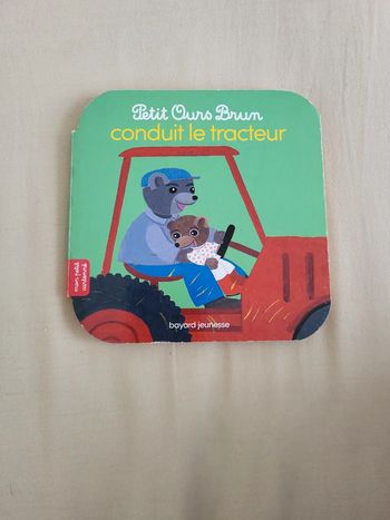 Livre petit ours brun