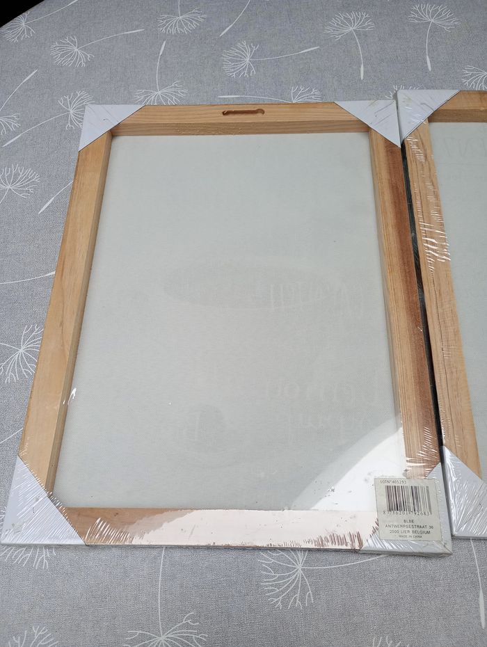 Lot de 2 toiles - photo numéro 4