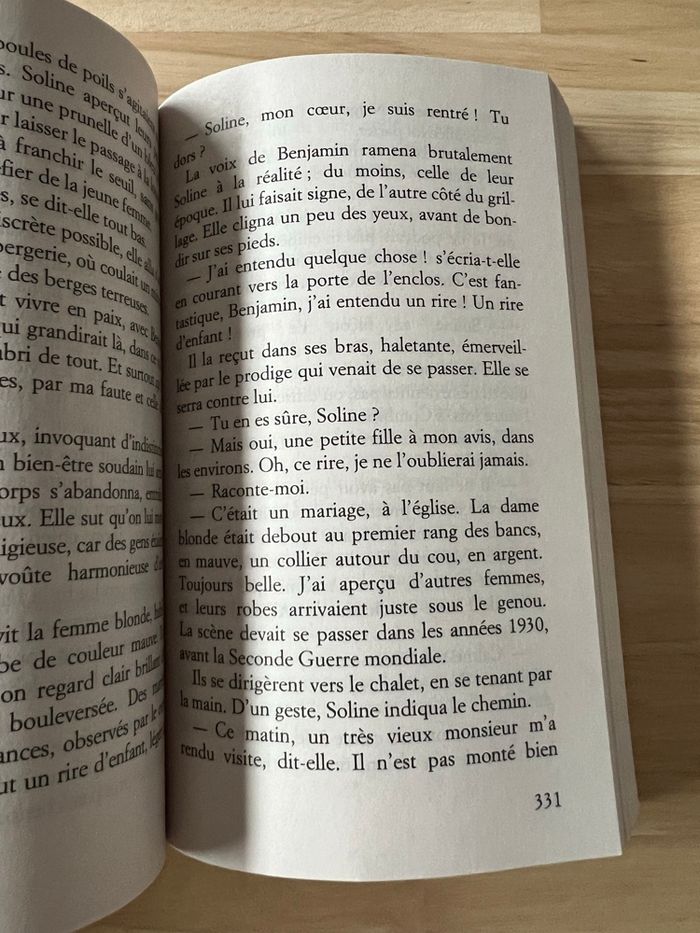 Livre Le Vallon des Loups – Marie-Bernadette Dupuy – Bon État - photo numéro 4