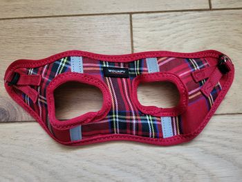 Harnais pour petit chien