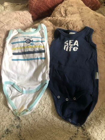 Lot de bodies 6 mois Absorba