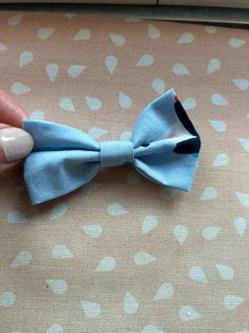 Lot barrette
