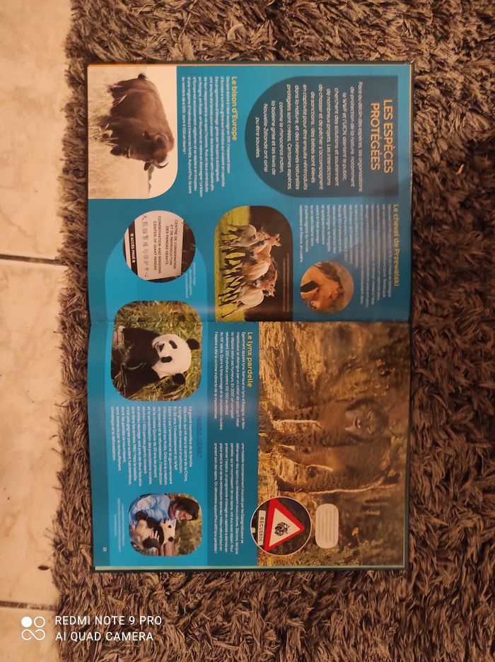 Livre les animaux en danger - photo numéro 2