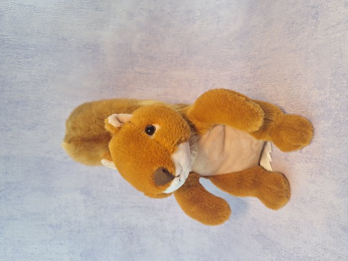 Peluche écureuil très Doux Doudou et compagnie - photo numéro 2