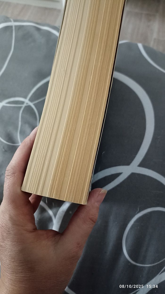 Roman Un sort si noir et eternel - photo numéro 3