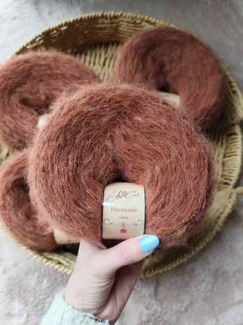 Pelotes laine 50gx4 rouille