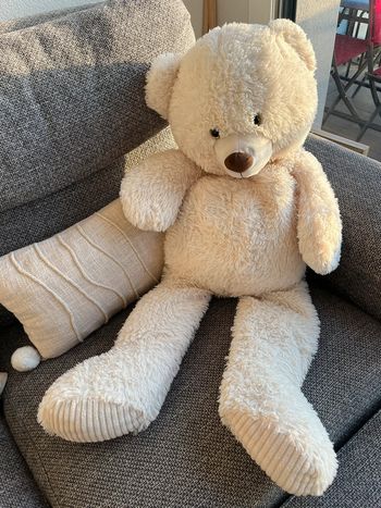 Ours en peluche