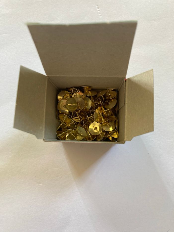 Punaises - photo numéro 2