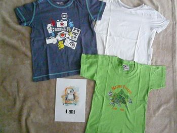 Lot de 3 tee-shirts 4 ans (n°27)