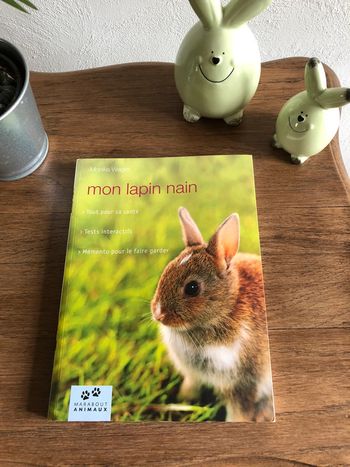 Livre lapin nain
