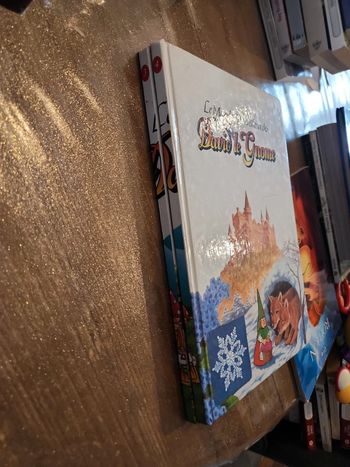 Lot de 2 livres : Le monde merveilleux de David le gnome