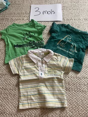 Lot tee shirt vert 3 mois