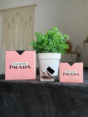 Prada paradoxe