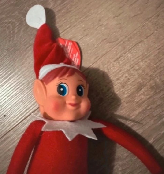 Lutin farçeur fille - photo numéro 2
