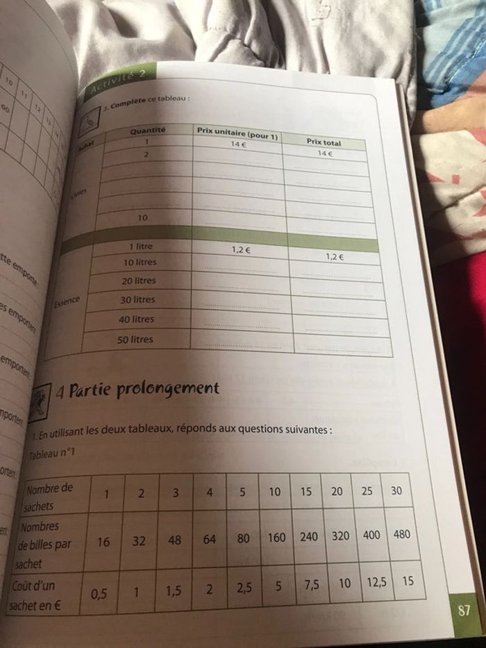 Tatou 4 math Plantyn - photo numéro 14