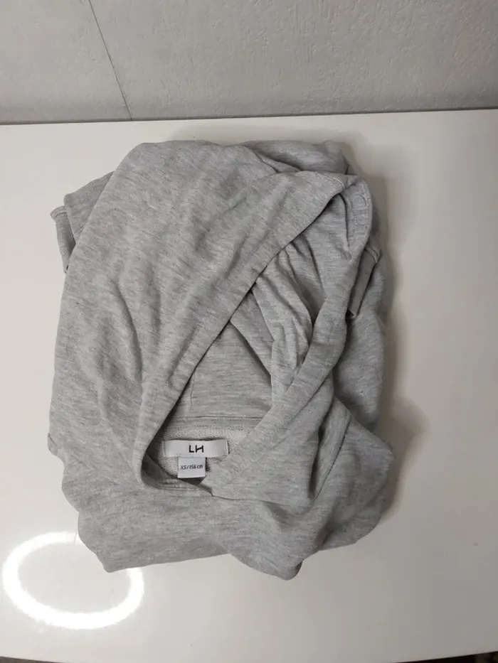 Sweat-shirt gris "LH" - photo numéro 3