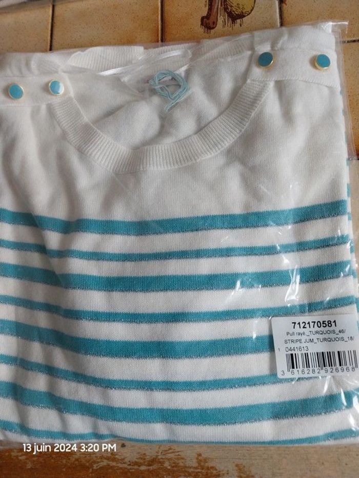 Rayé turquoise - Pull Marinière rayures brillantes – rayé turquoise – 46/48 - Damart - photo numéro 5