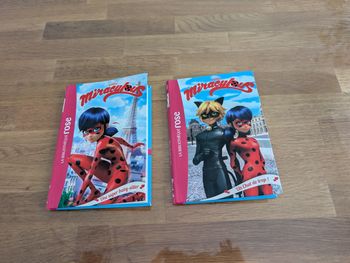 Lot 1 de 2 livres Miraculous Tome 1 et 2