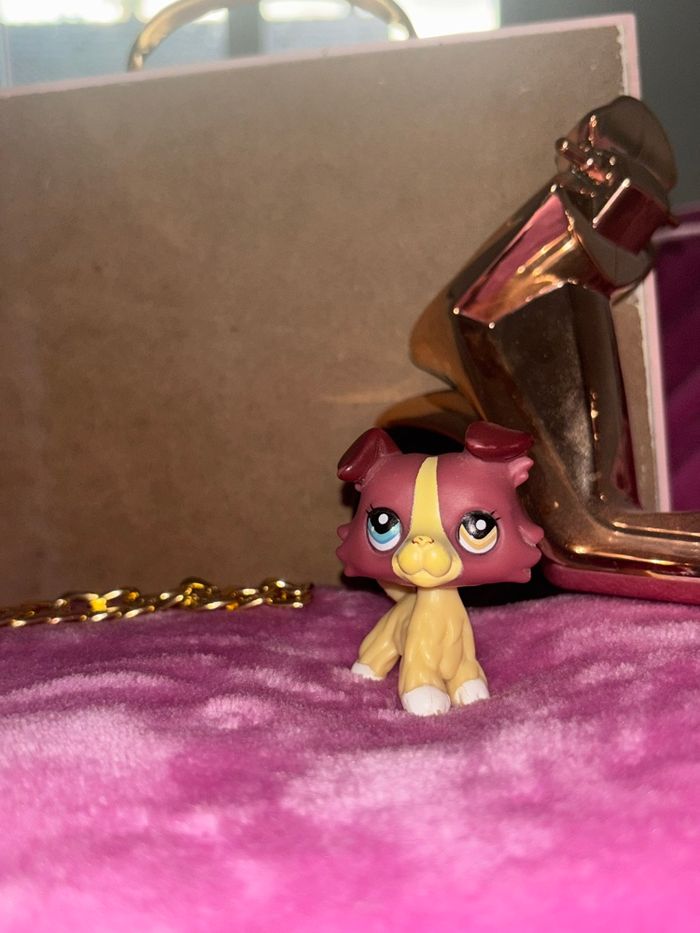 colley #1262 tige blanche