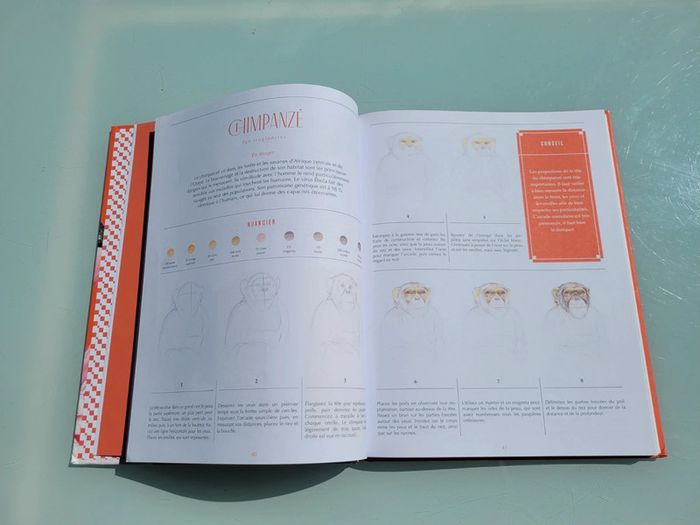 Livre 30 espèces à dessiner en pas-à-pas 🦩 Animaux à sauver 🦒 Beaux-Arts pour la terre (72) - photo numéro 6