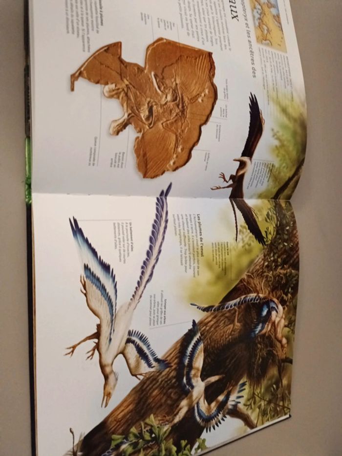 Les dinosaures à la loupe édition France loisirs - photo numéro 12