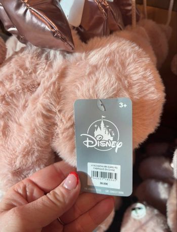 Bonnet Disneyland, Paris