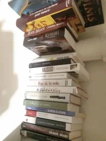 Livre A l unité