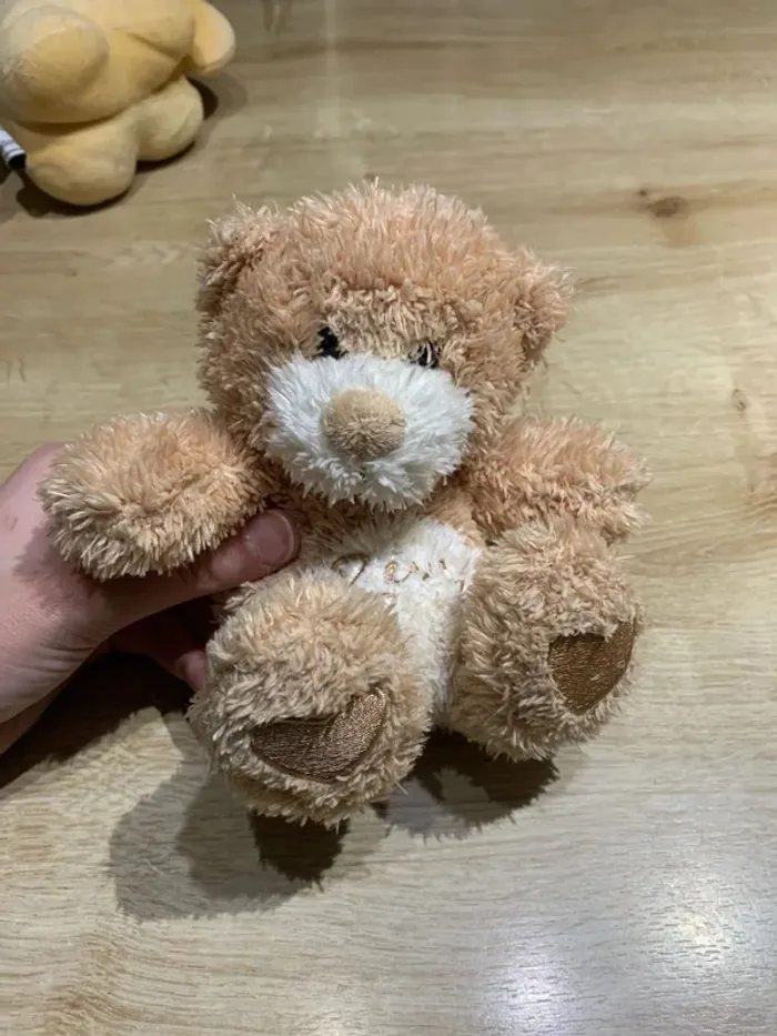 Ourson 15cm rêves