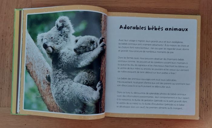 Mon grand livre des Bébés Animaux - Picolia - photo numéro 5