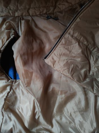 Veste