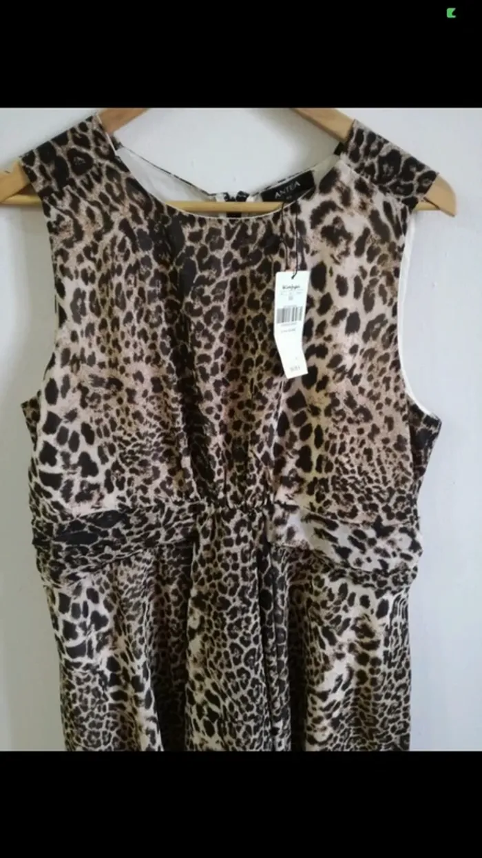 Jolie robe - photo numéro 4