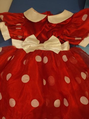 Robe Disneyland