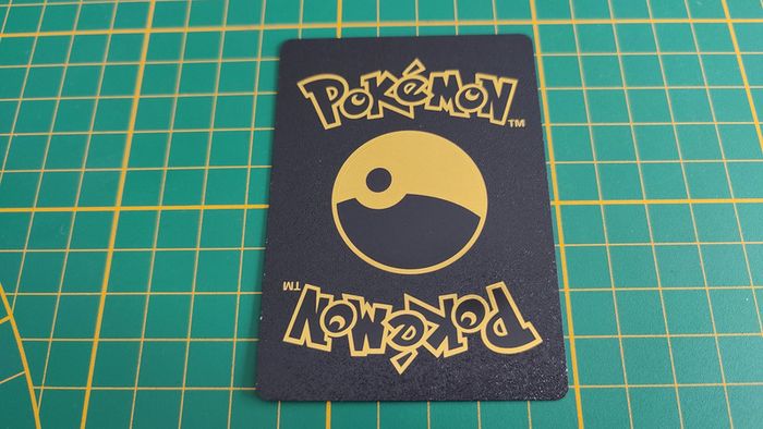 Nigosier Vmax carte illustration Pokémon cosplay couleur noir française #C18 - photo numéro 2