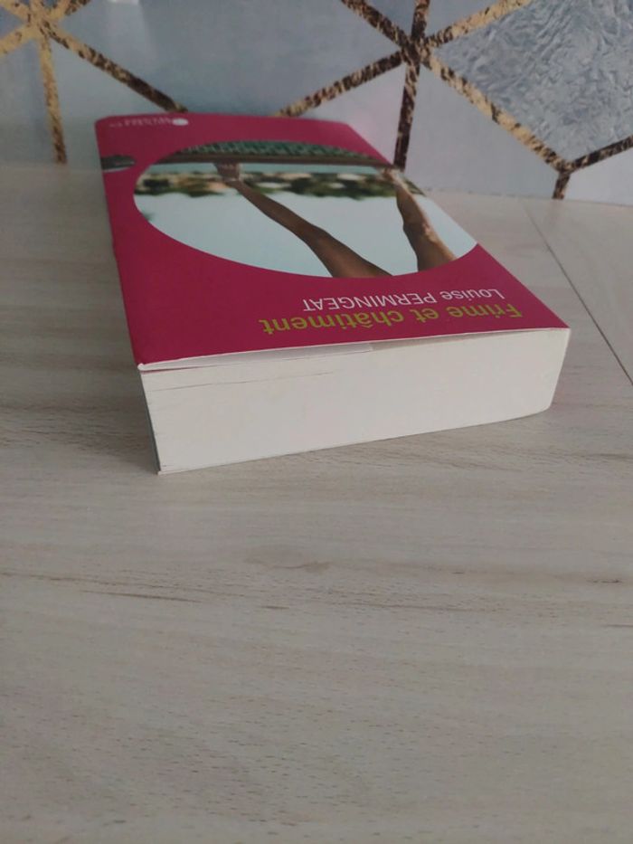 Livre grand format Frime et châtiment Permingeat - photo numéro 4