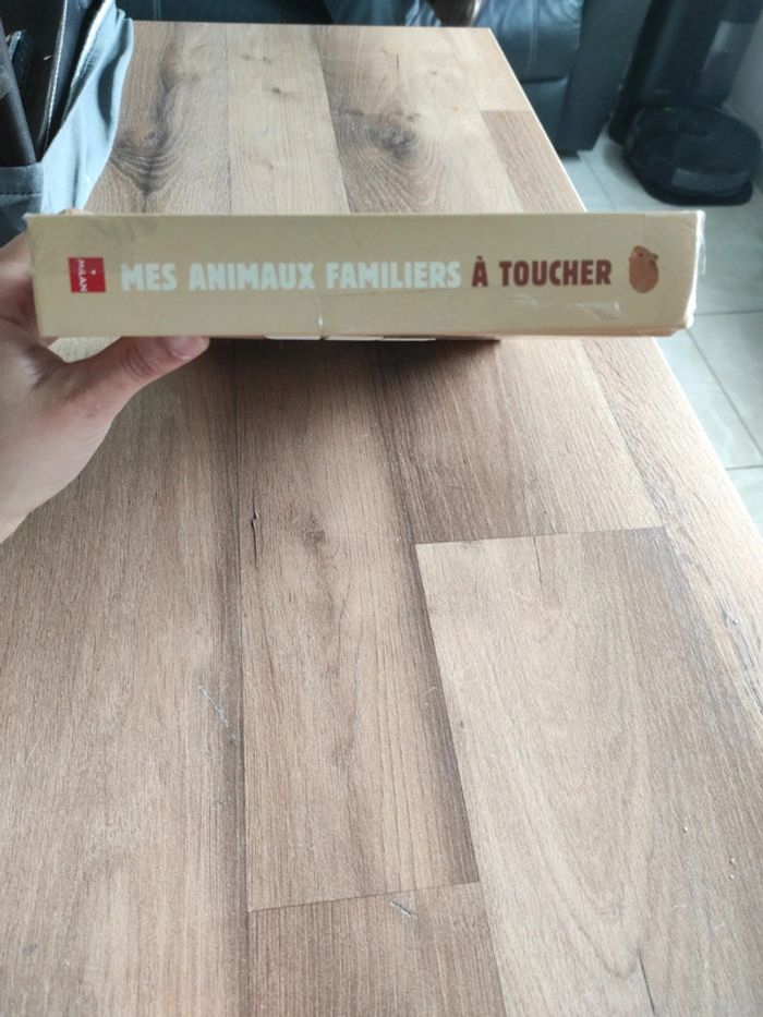 Livre : Mes animaux familiers à toucher - photo numéro 3