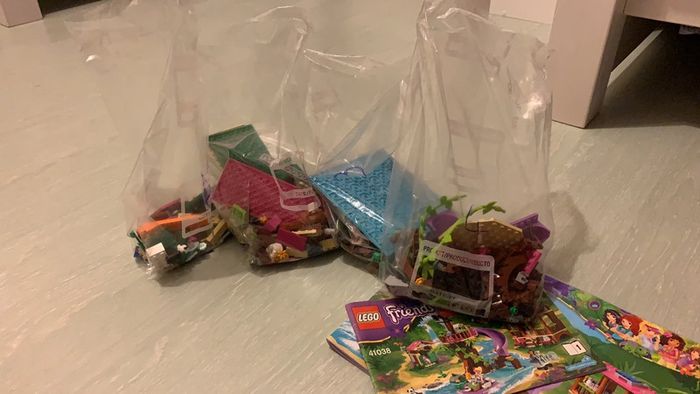 Lego friends dans la jungle à partir de 6 ans - photo numéro 9
