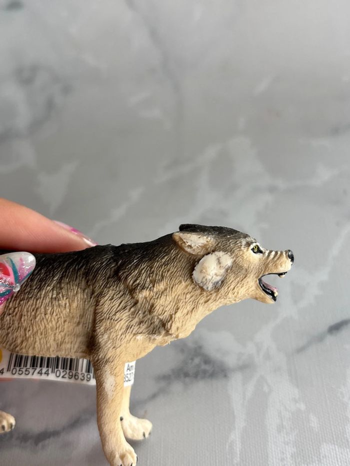 Loup Schleich - photo numéro 3