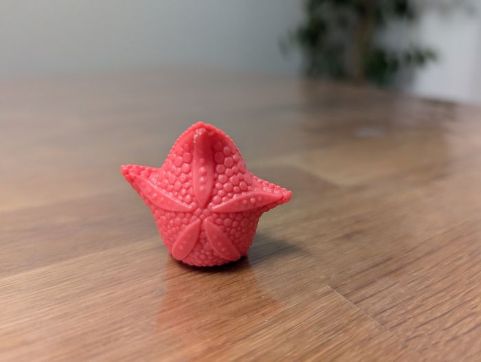 Poupée Starla Étoile de mer et son petit animal Enchantimals avec boite - photo numéro 8