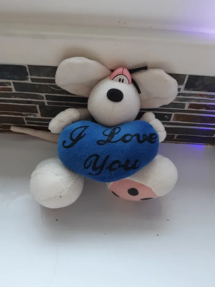 Peluche avec coeur