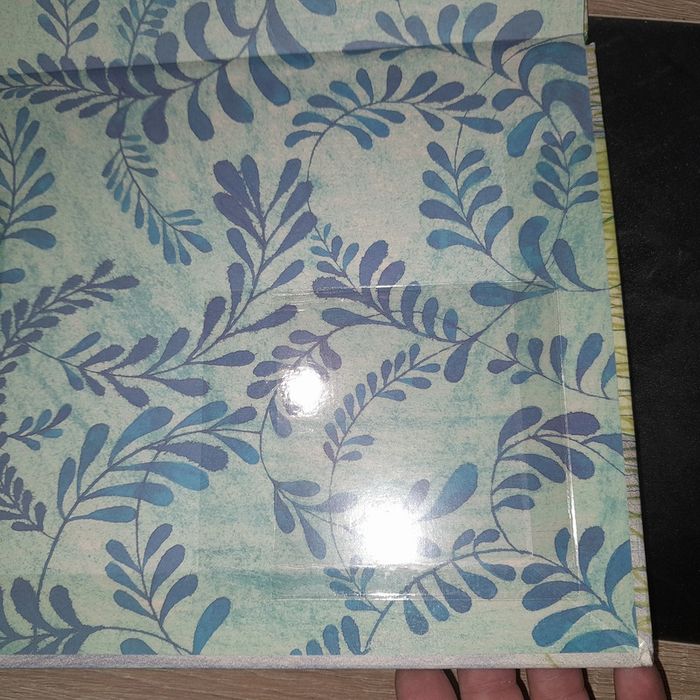 album cartonné Gisèle de verre - photo numéro 2