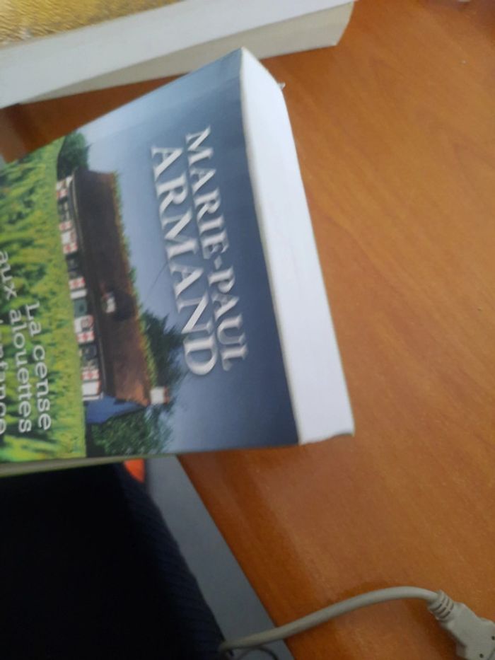 Roman d'été - photo numéro 6