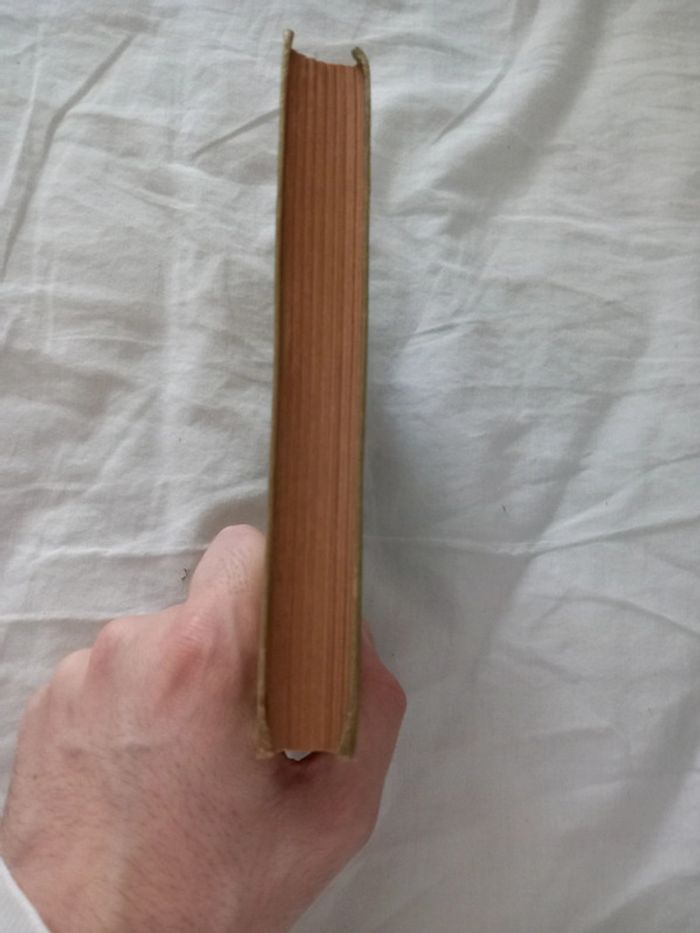 Reine en sabots - photo numéro 5