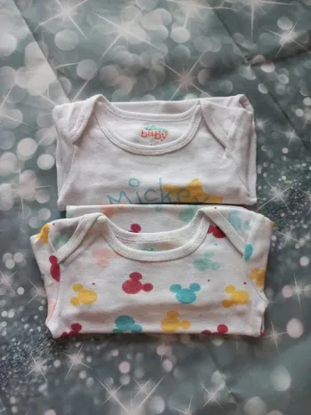 Lot 2 bodies