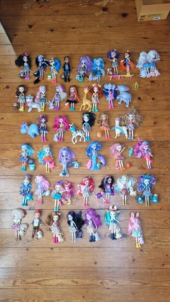 Grande collection Enchantimals à vendre